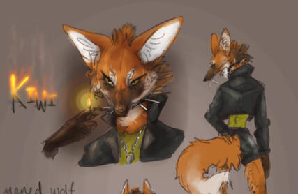 Reference Sheet - Maned Wolf Reference Sheet - Maned Wolf